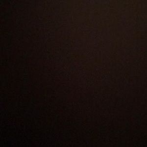 Meet your Posher, Bridget